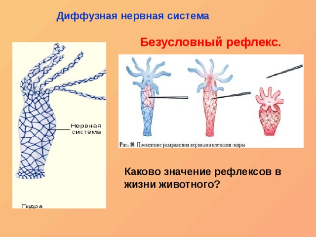 Кракен площадка тор